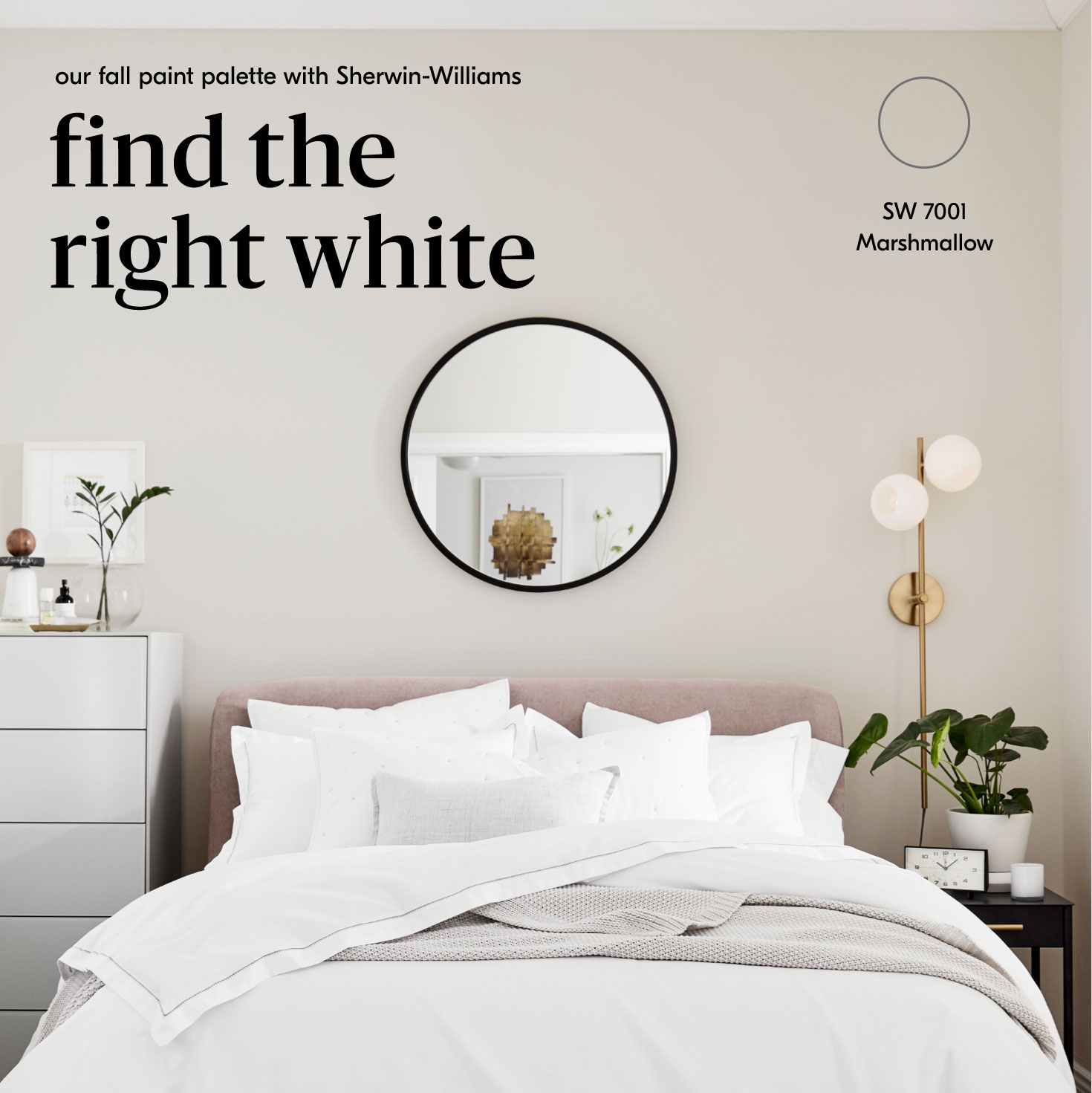 Sherwin Williams Paint