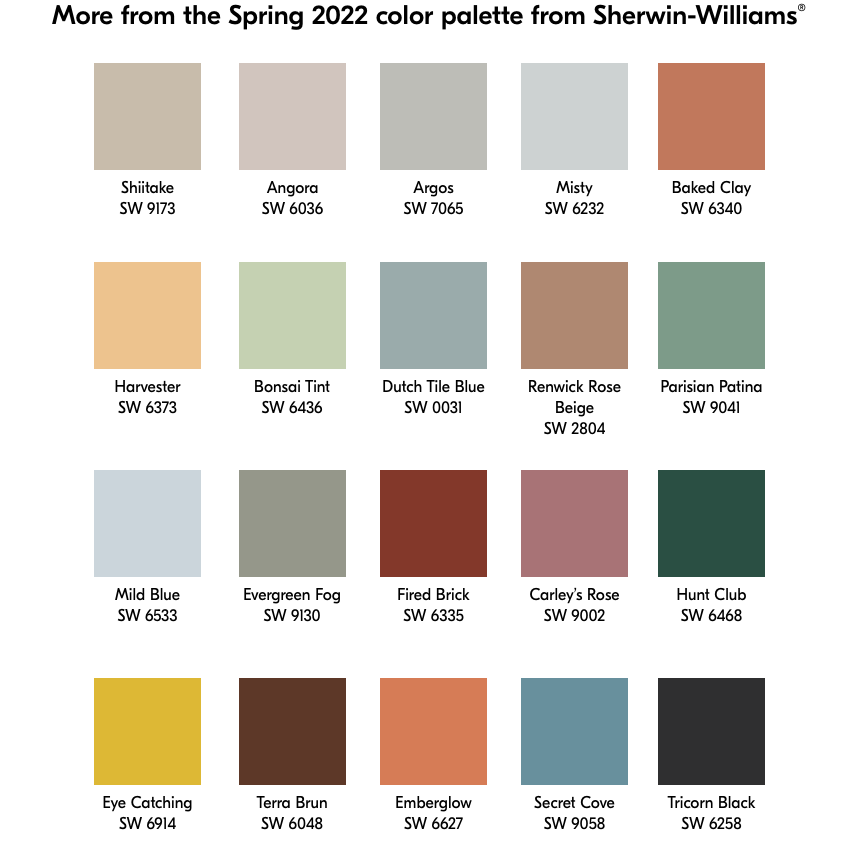 Our Paint Palettes with SherwinWilliams West Elm