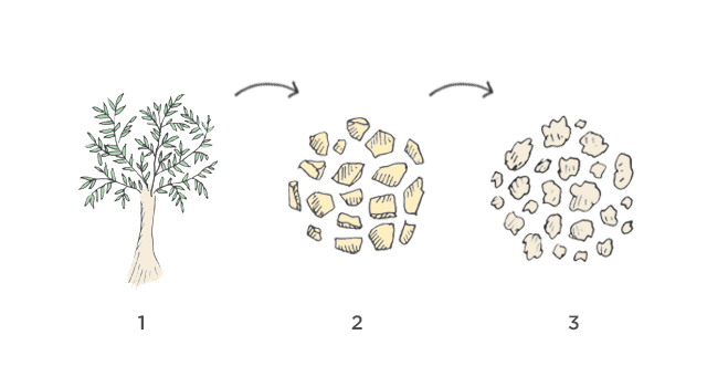 TENCEL&reg; process image.
