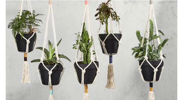 HANG "ART," EVEN OUTSIDE