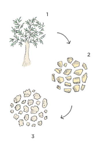 Tencel&reg; Fiber Illustration