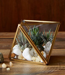 HOW TO MAKE A TERRARIUM HOW TO MAKE A TERRARIUM