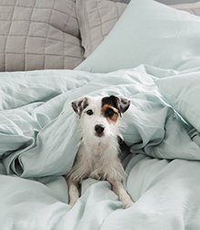 Bedding