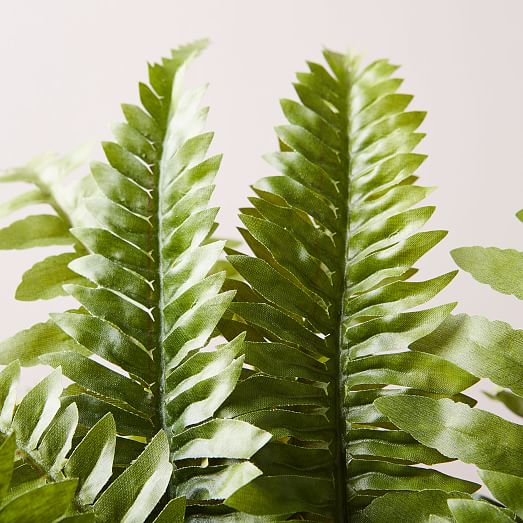 Faux Potted Green Fern Plant