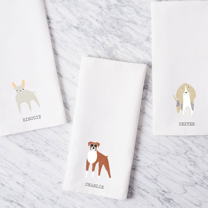 best dog brush for short hair