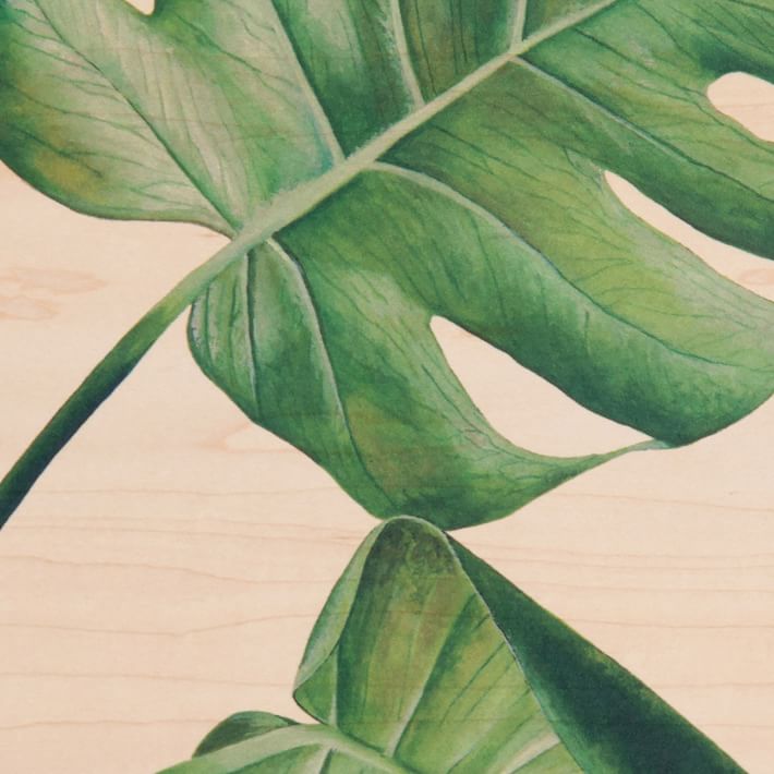 Maple Wood Wall Art Mansteria West Elm