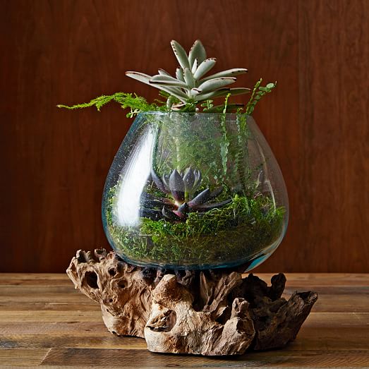 Wood Recycled Glass Terrariums - Melted Glass And Wood Terrarium Wood Recycled Glass Terrariums - Melted Glass And Wood Terrarium