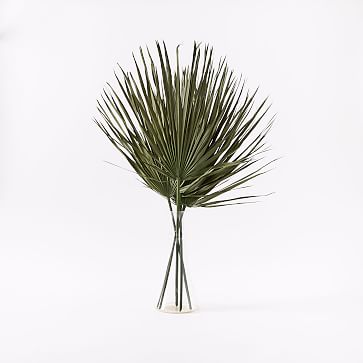 Dried Green Palm Leaf Stem Bunch