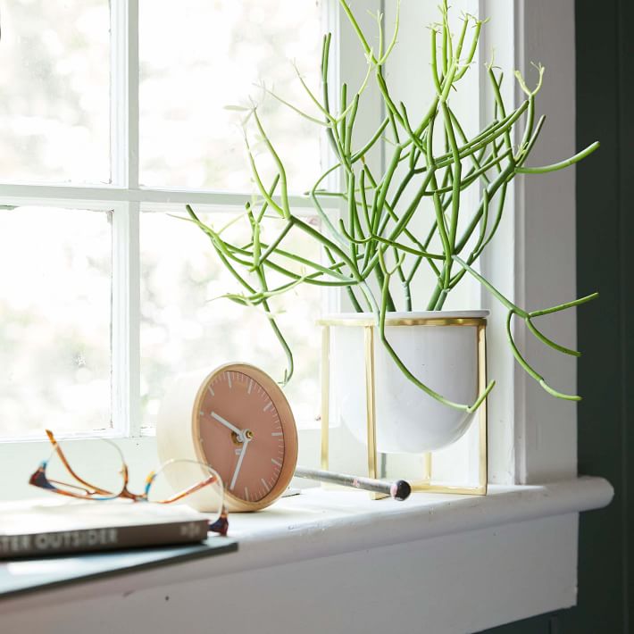 Eden Cross Base Tabletop Planters - White | West Elm