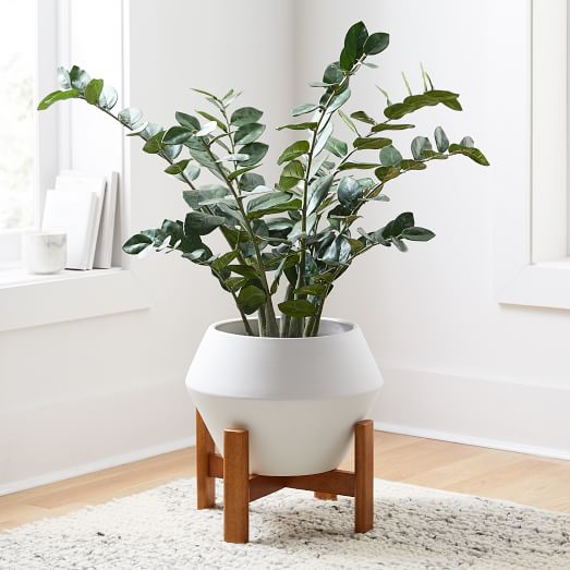 Faux Olive Tree & Large White Fluted Planter Set West Elm