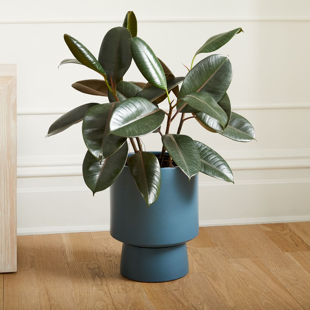 Bishop Indoor/Outdoor Pedestal Planters | West Elm