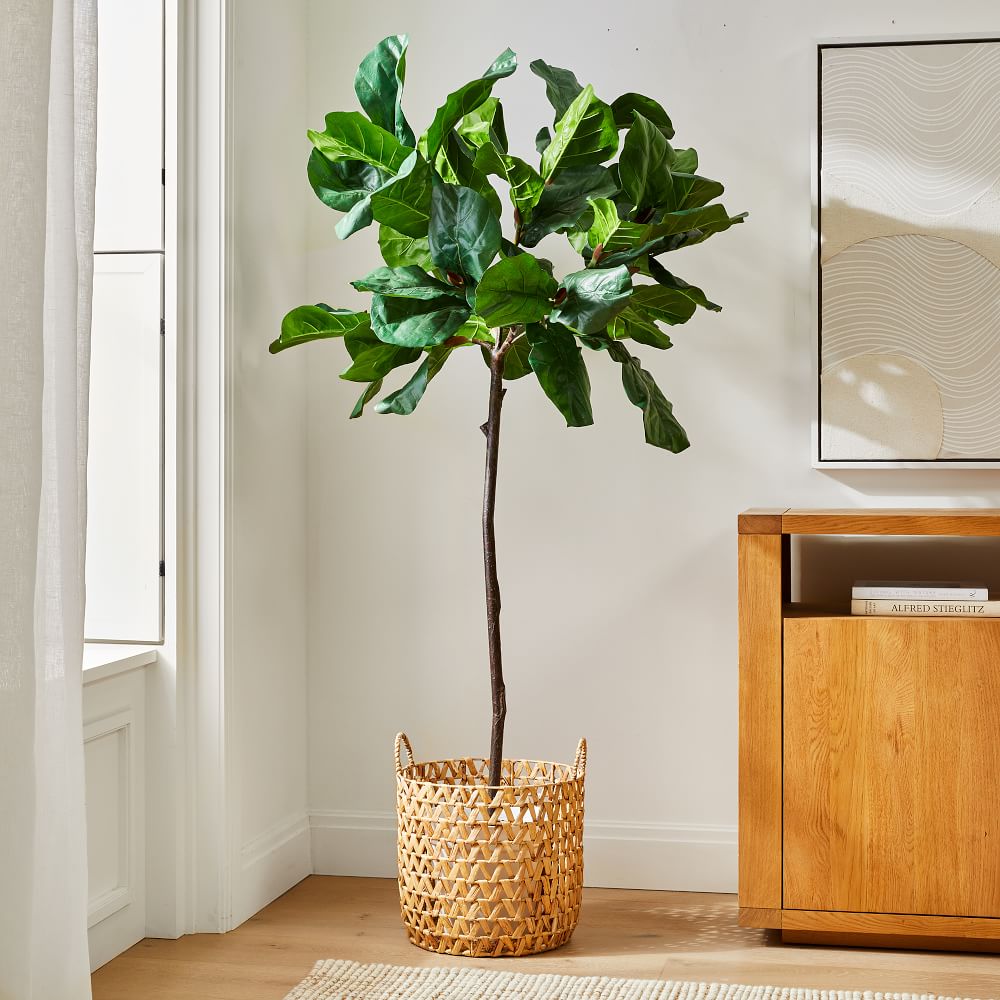 Faux 7' Fiddle Leaf Fig Tree & Open Weave Zig Zag Basket ...