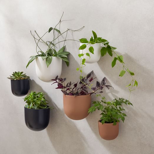 Ceramic Indoor Outdoor Wallscape Planters - What To Plant In Wall Planters