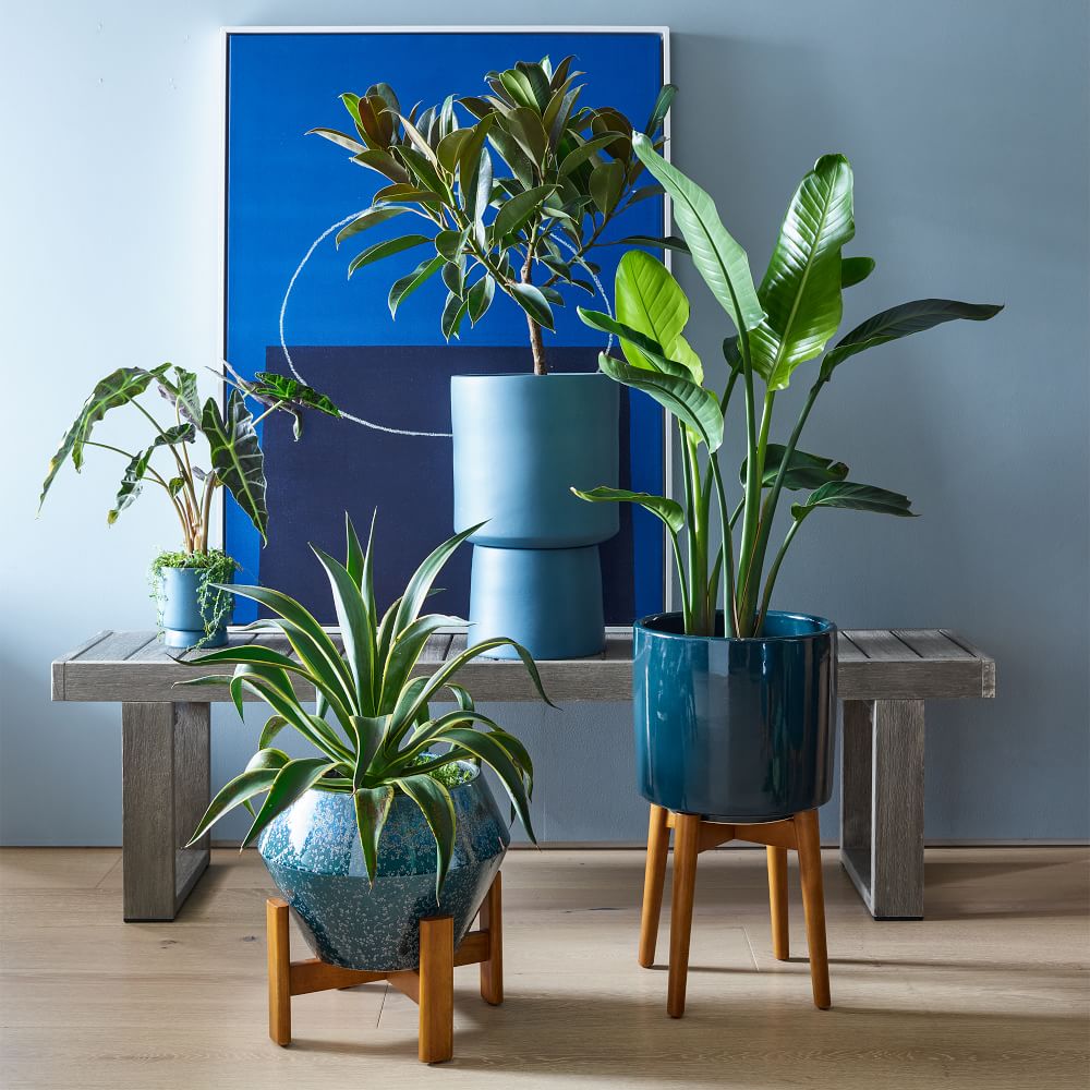 Ceramic Indoor/Outdoor Pedestal Planters West Elm