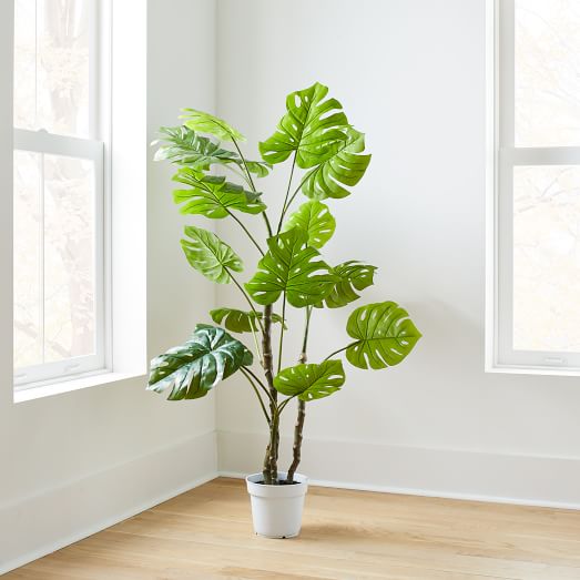 Faux Green Monstera Plant Leaf Stem West Elm
