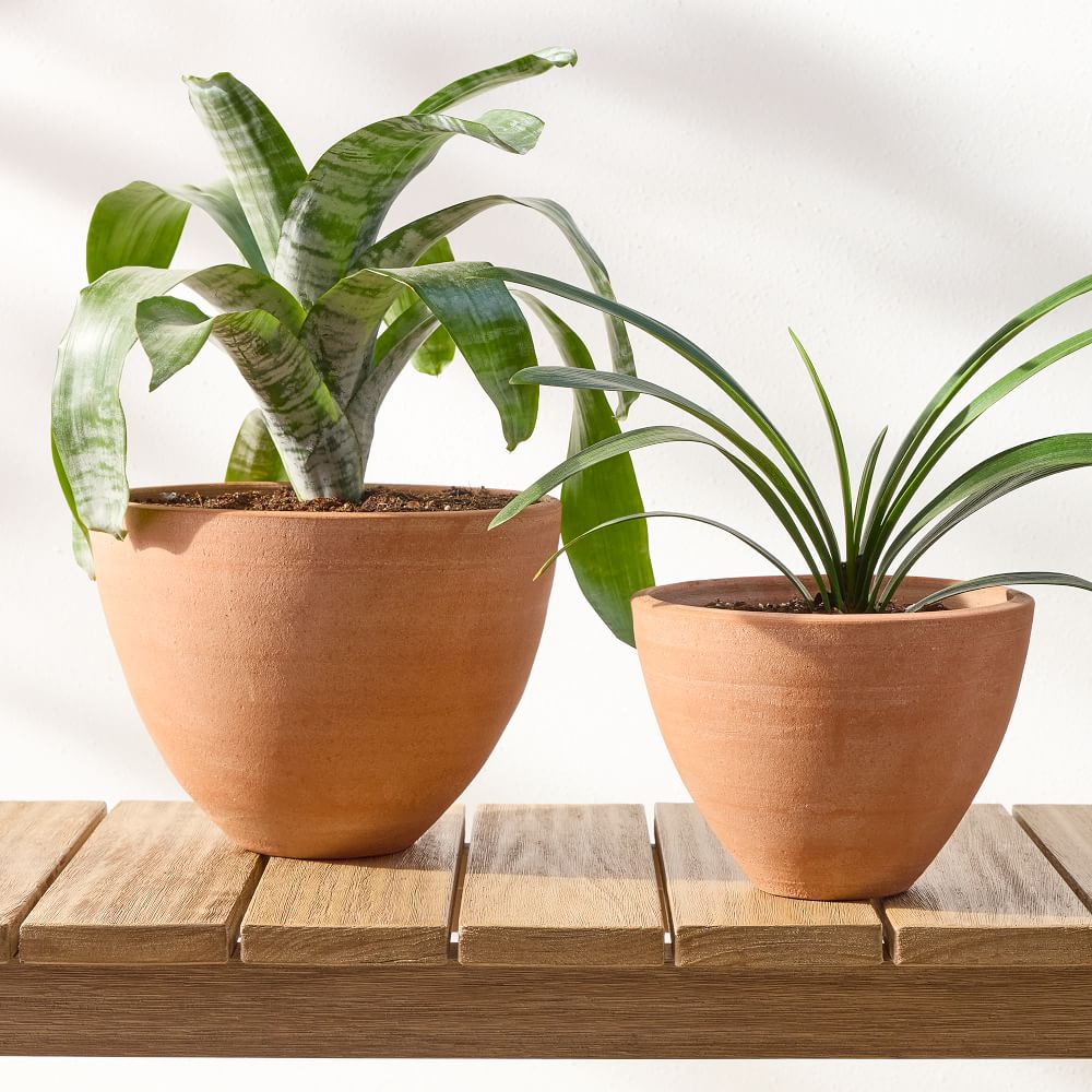 Barro Terracotta Planters West Elm