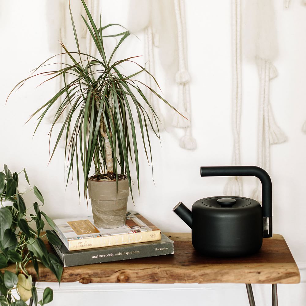 Fellow Clyde Stovetop Tea Kettle West Elm