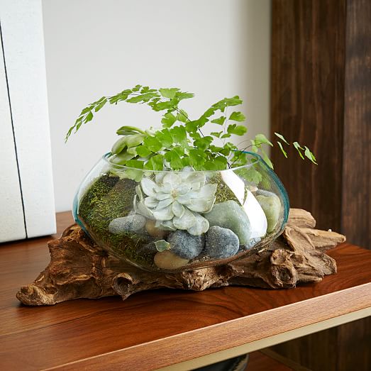 Melted Glass Vase Unique Center Piece Terrarium Coffee Wood Driftwood Bowl Dish 