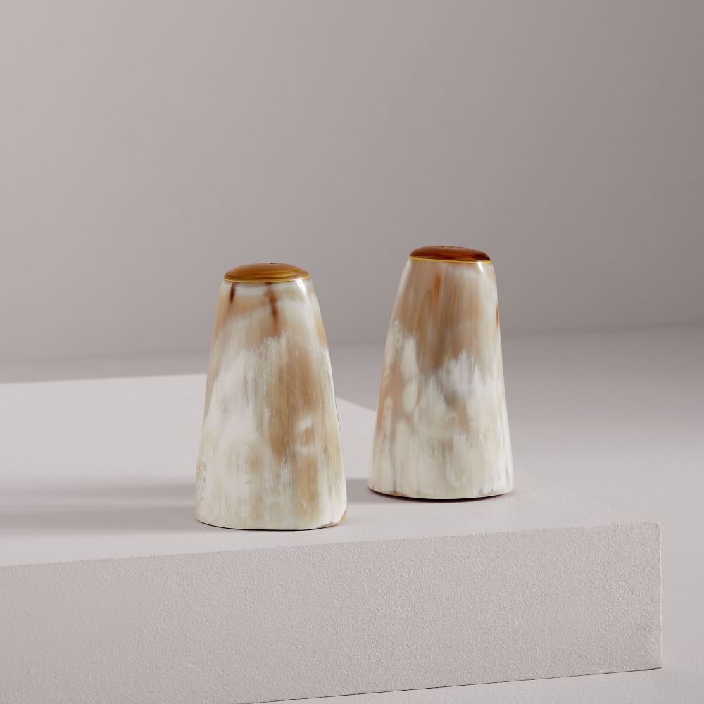 Horn Salt & Pepper Shaker Set West Elm