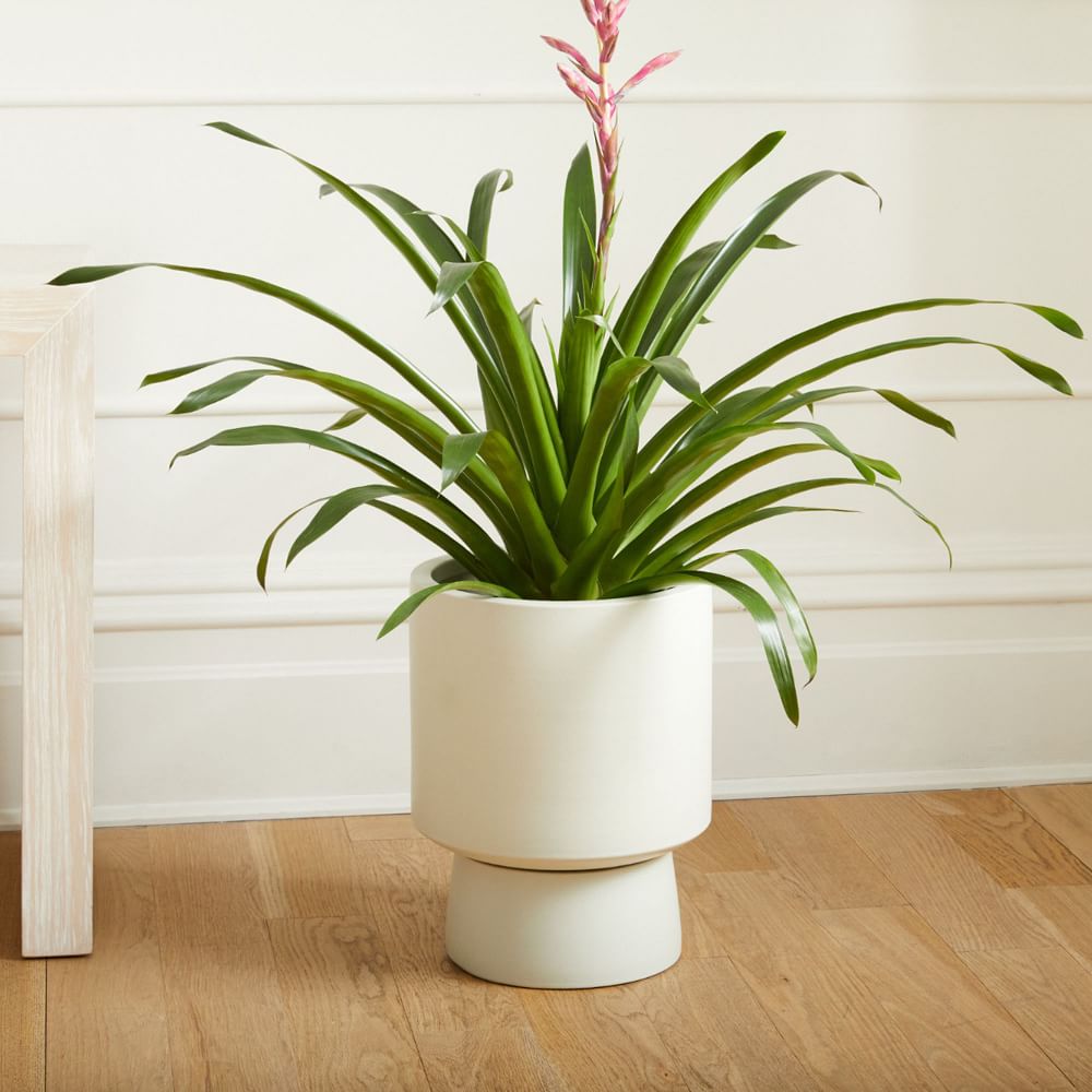 Bishop Indoor/Outdoor Pedestal Planters | West Elm