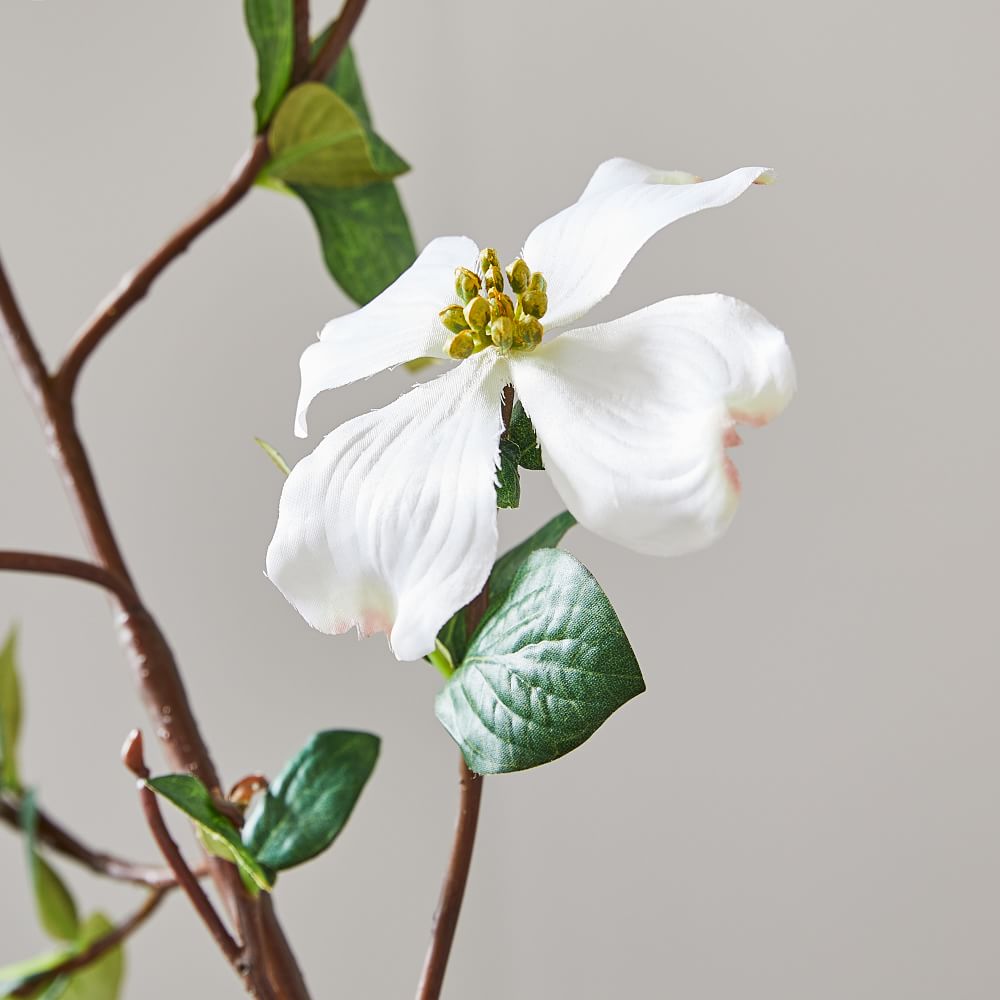 Faux Dogwood Branch West Elm
