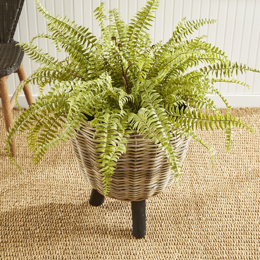 Woven Dry Basket Planters West Elm