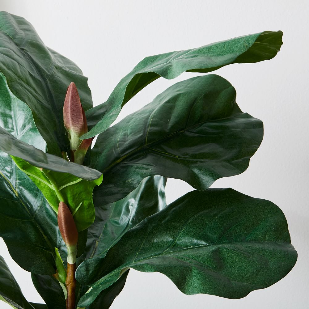 Faux Potted Fiddle Leaf Fig Plants West Elm