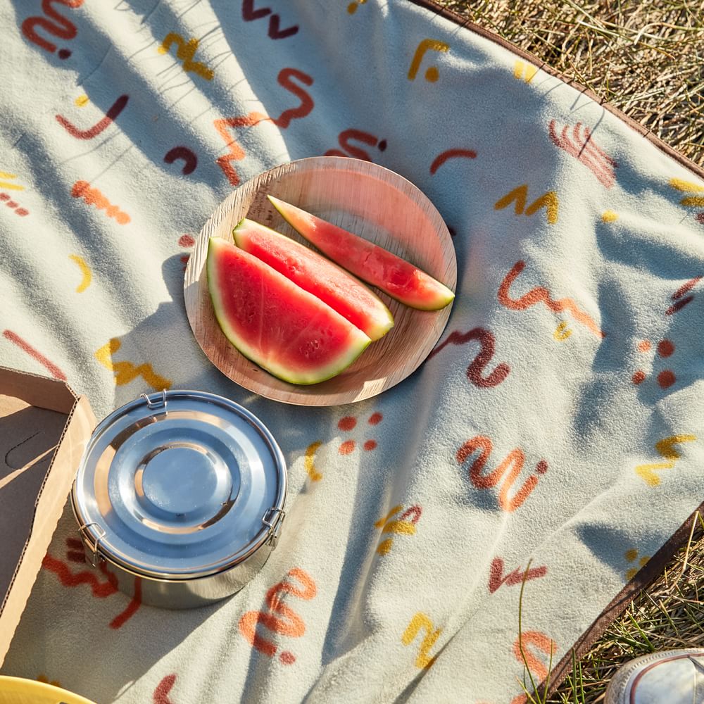 REI Coop Outdoor Blanket West Elm