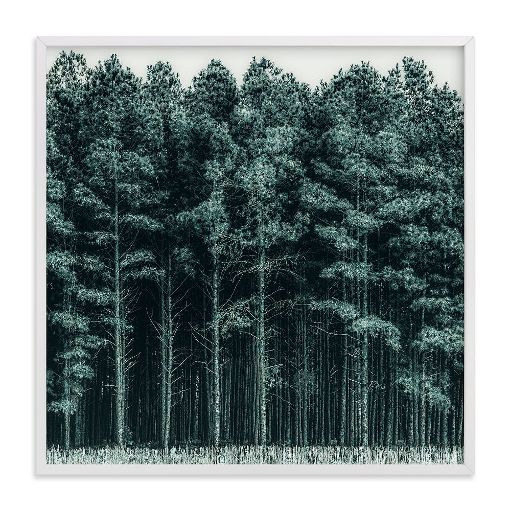 Through the Trees Framed Wall Art by Minted for West Elm West Elm