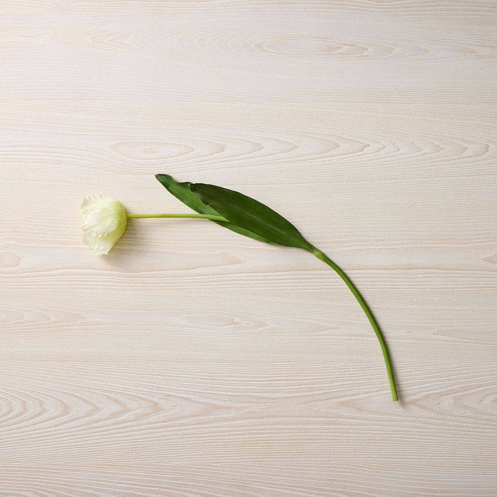 Faux White Tulip Stem West Elm