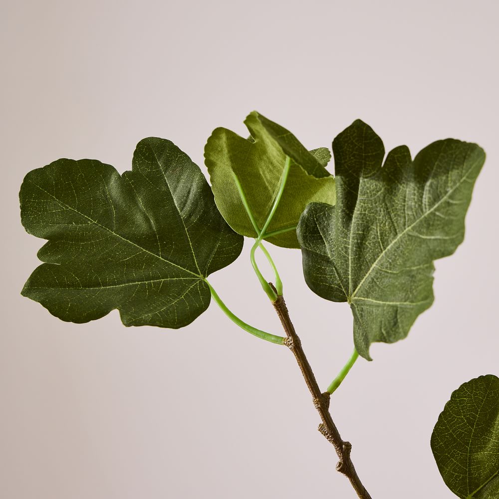 Faux Fig Tree Branch West Elm