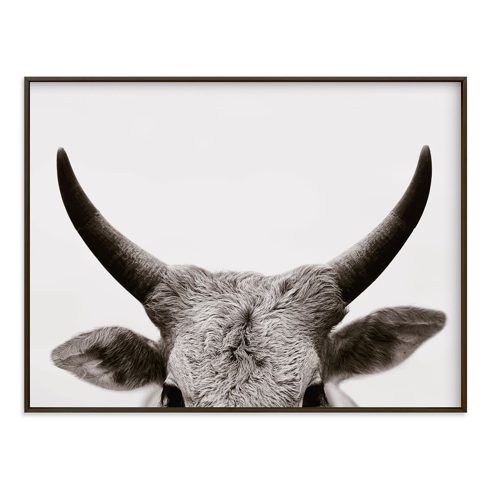 Bull Horns Framed Wall Art by Minted for West Elm | West Elm