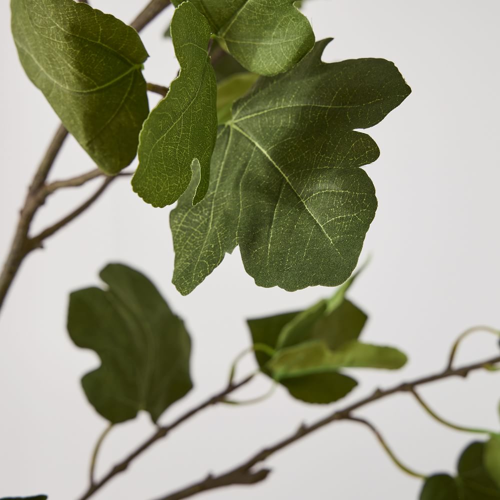 Faux Fig Tree Branch West Elm