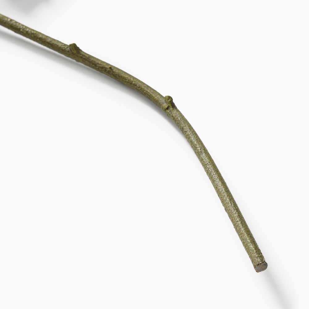 Faux Fig Tree Branch West Elm