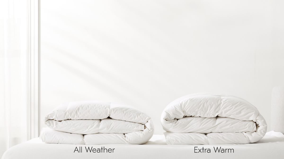 European Down Duvet Insert West Elm