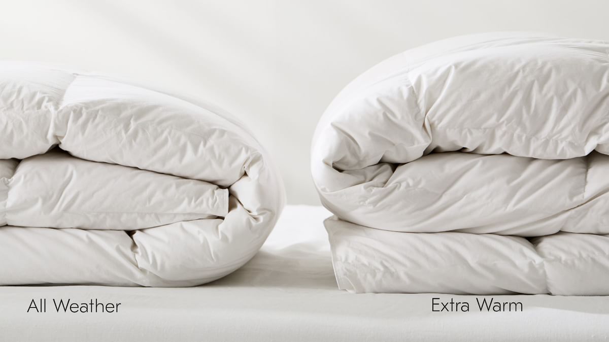 European Down Duvet Insert West Elm