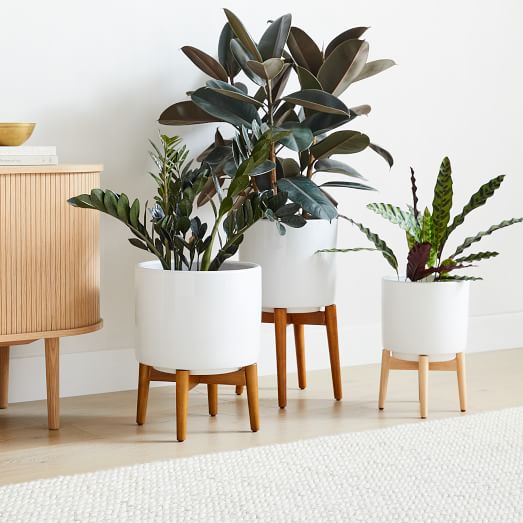 Radius Ficonstone Indoor/Outdoor Planters - Alabaster | West Elm