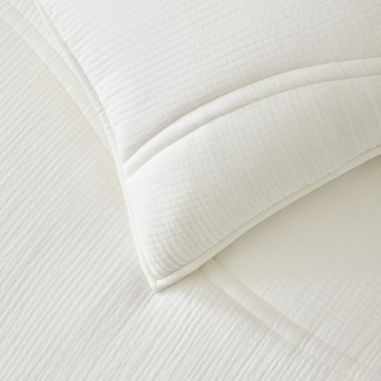 Dreamy Gauze Cotton Comforter & Shams | West Elm