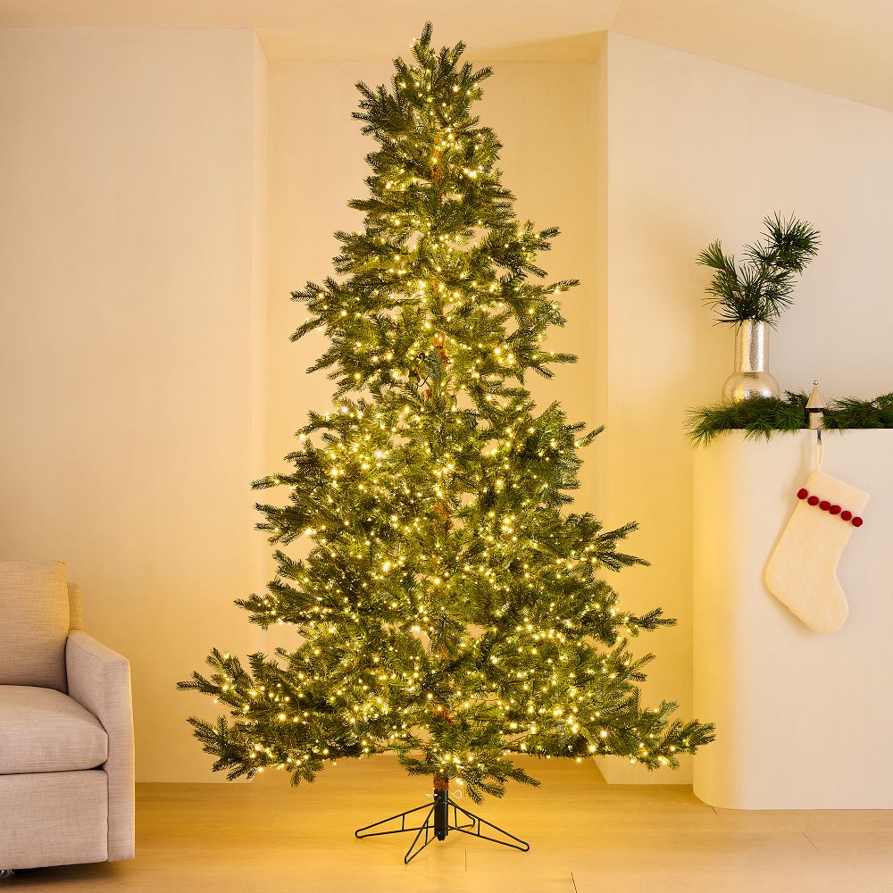 Portland Pine Green Christmas Tree | West Elm