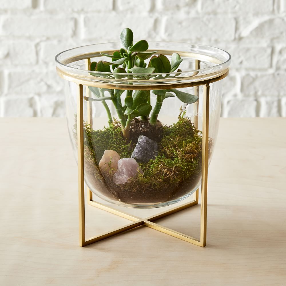 Eden Cross Base Terrarium | West Elm