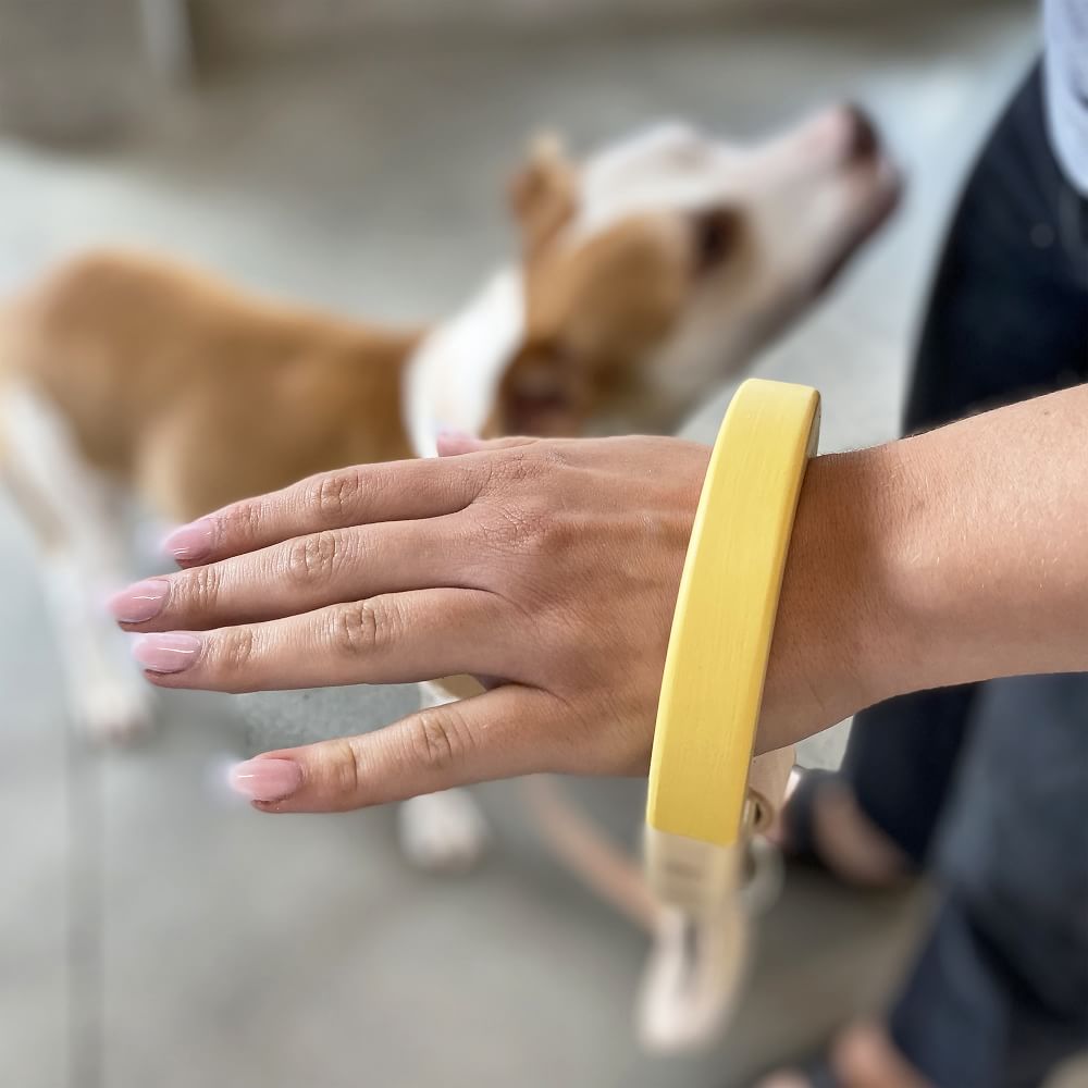 House Dogge BBoo Leather Leash West Elm