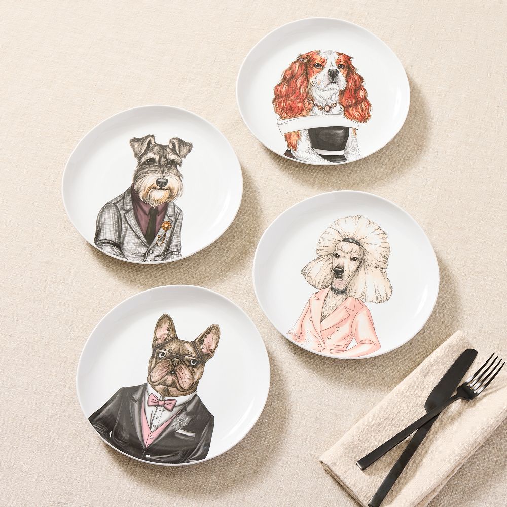 Dapper Animal Best in Show Salad Plates West Elm