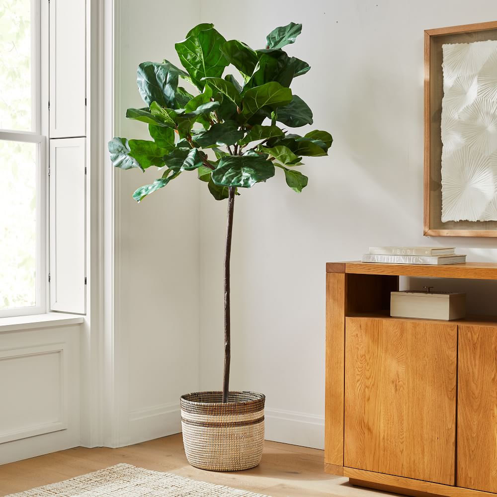 Faux Fiddle Leaf Fig Tree & Colorblock Basket Planter Bundle West Elm
