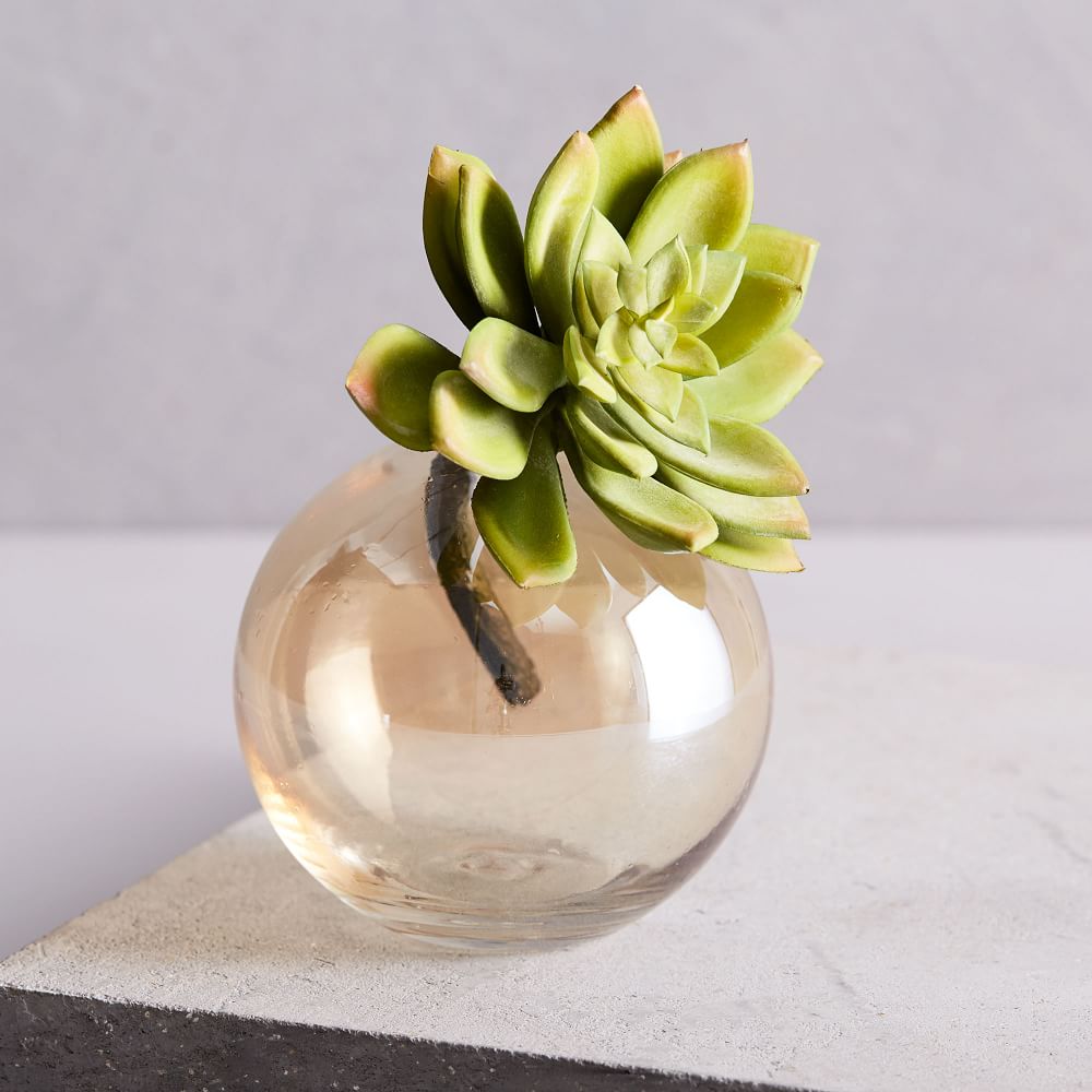 Faux Succulent Stem Echeveria West Elm