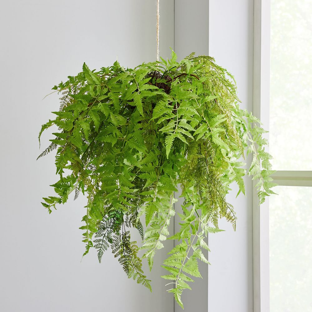 Faux Hanging Fern Plant West Elm