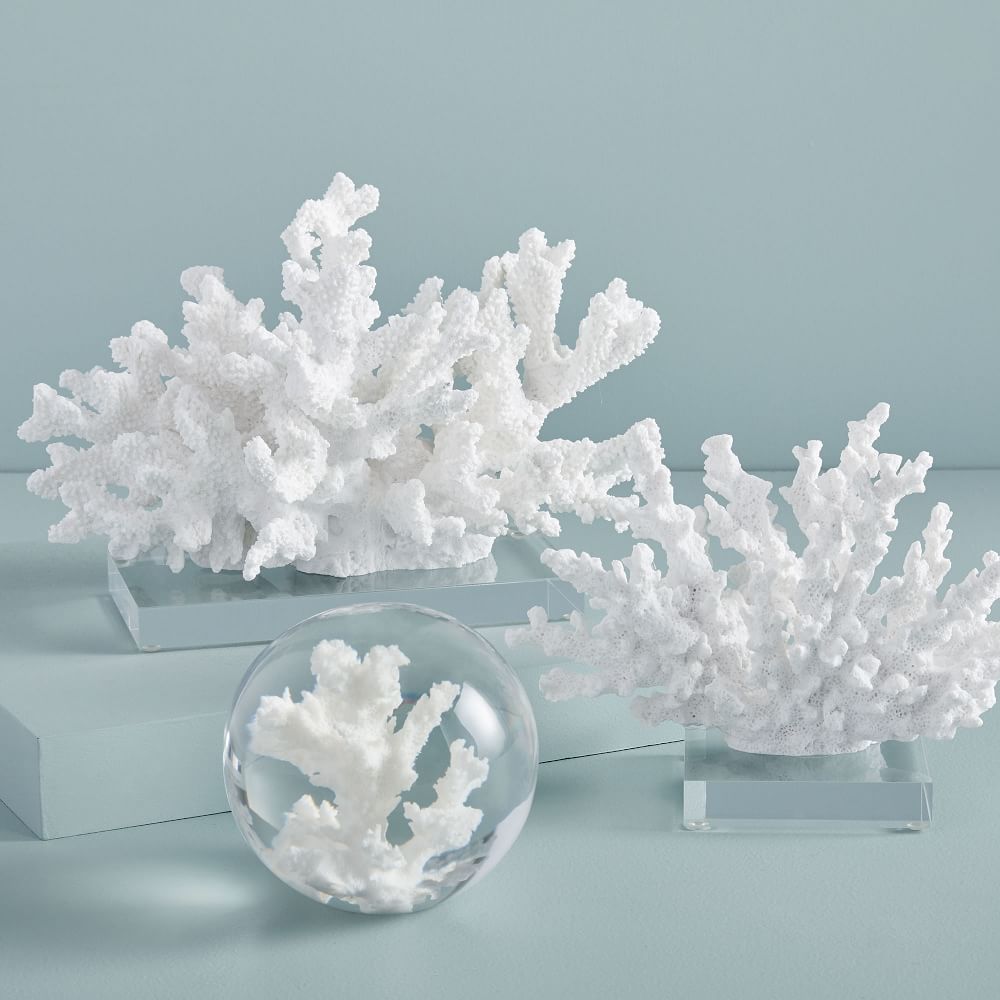Coral Objects West Elm
