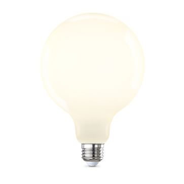 g40 frosted led bulb