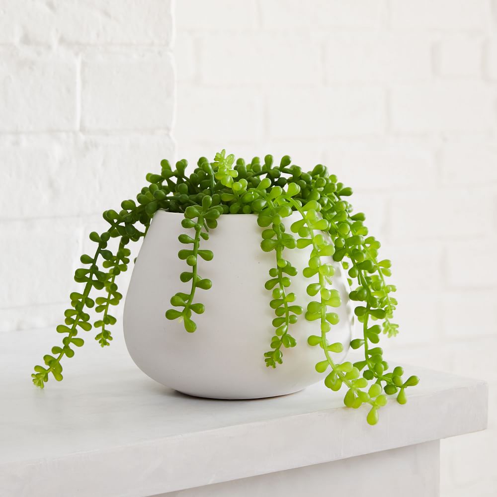 Faux Potted Trailing Succulent Plant West Elm