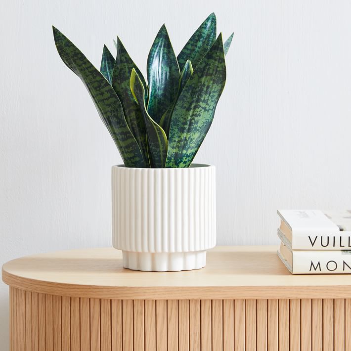 Faux Potted Snake Plant West Elm