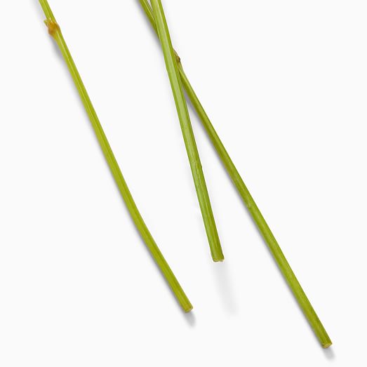 Faux Chinese Lantern Stems Set of 3 West Elm